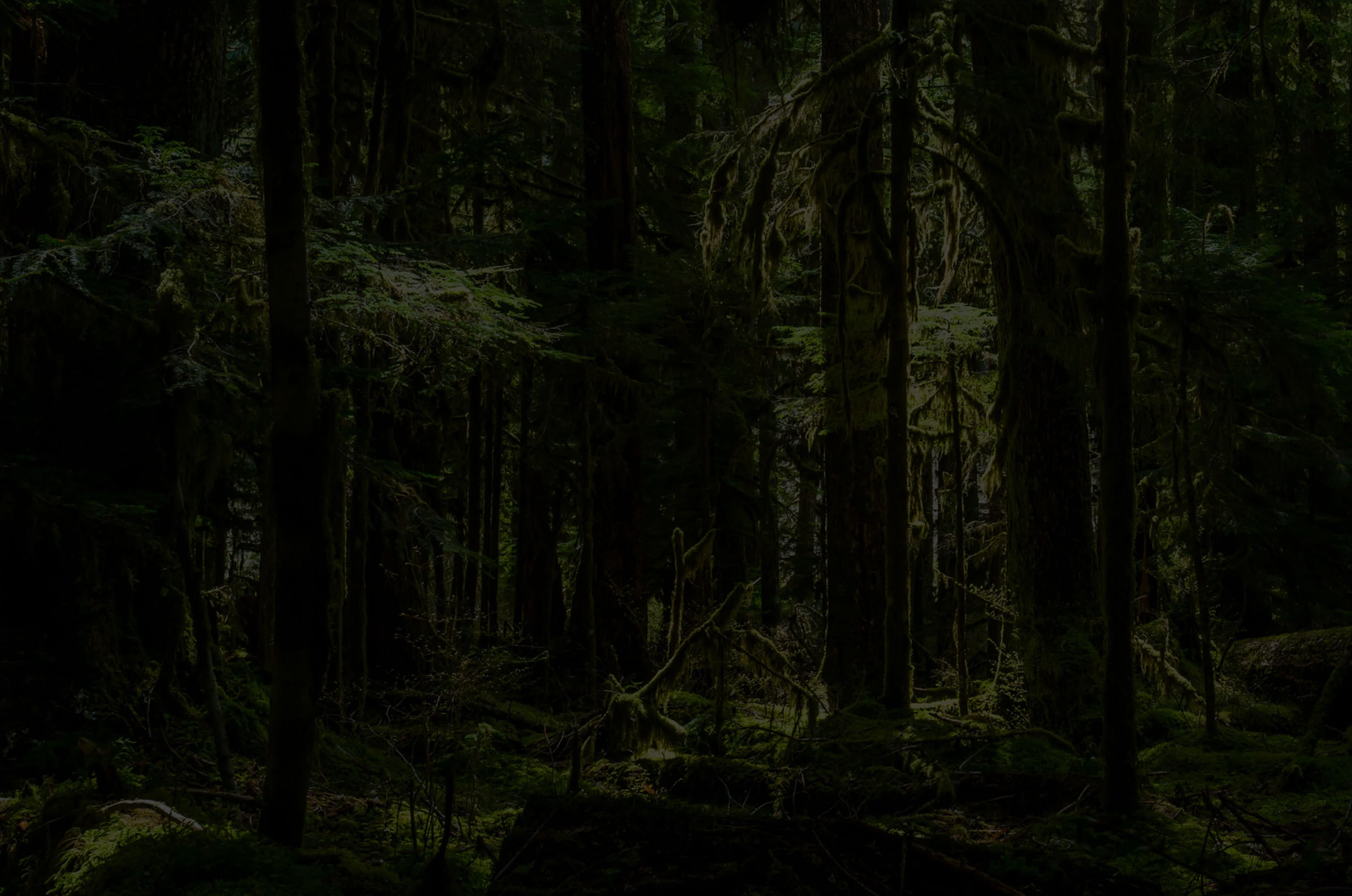 Malahat Nelson soil receiving facility